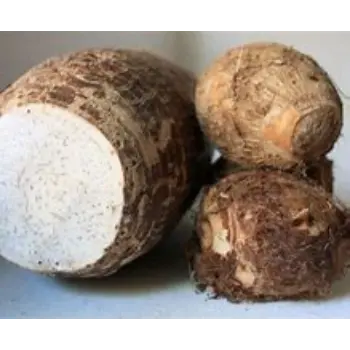 Taro Root