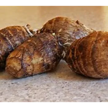 Natural Taro Root