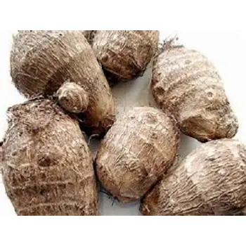 Taro Root