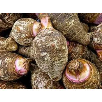 Taro Root