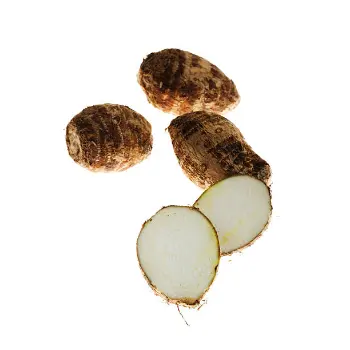 Common  Taro Root