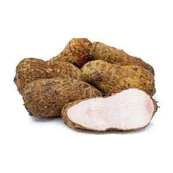 Natural Taro Root