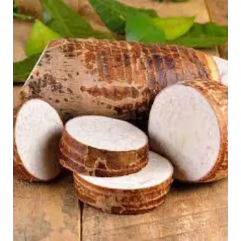 Natural Taro Root