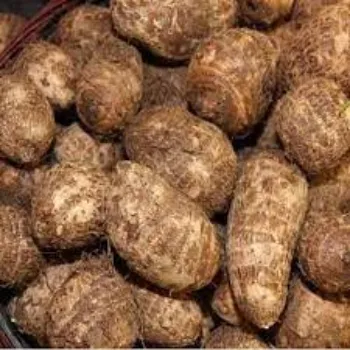 Organic Taro Root
