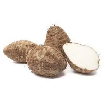Common Taro Root