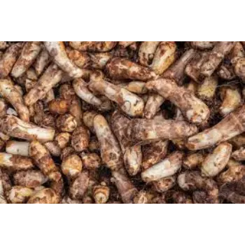 Natural Taro Root
