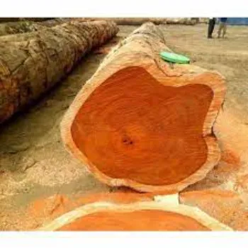  Teak Wood