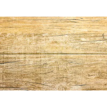 Latest Teak Wood Sheet