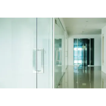 Silence Tempered Glass Door