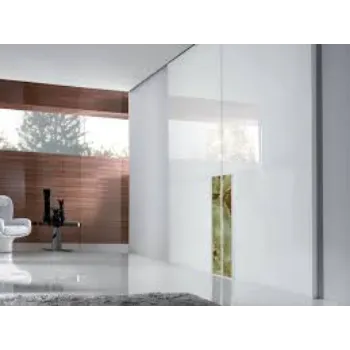 Plain Tempered Glass Door
