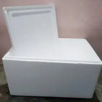 Thermocol Box