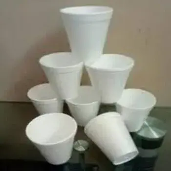 Double Layer Thermocol Glasses