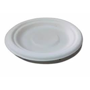 Custom Design Thermocol Plate
