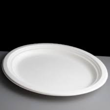 White Thermocol Round Plate