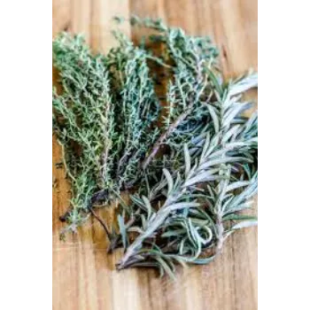 Organic Thyme Seed
