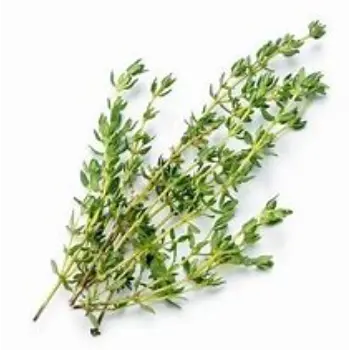 Thyme Leaves