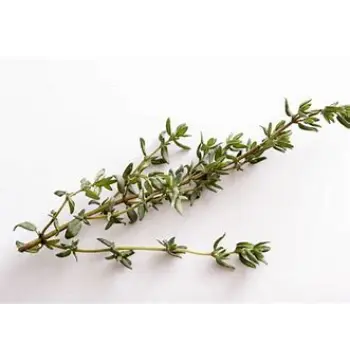 Fresh Thyme Leaves