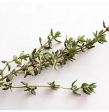  Natural Thyme Leaves