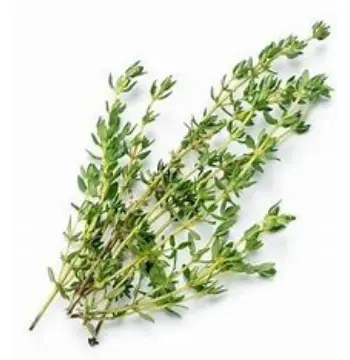 Fresh Thyme Leaves