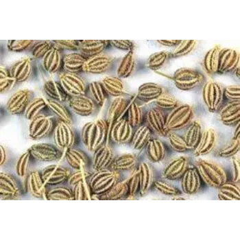 Organic Thyme Seed