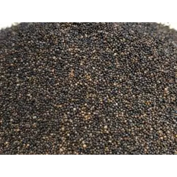 Organic Thyme Seed