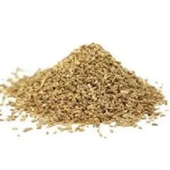 Organic Thyme Seed
