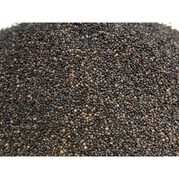 Organic Thyme seeds