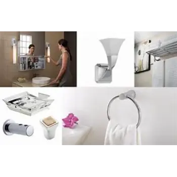 Polished Toilet Accessories