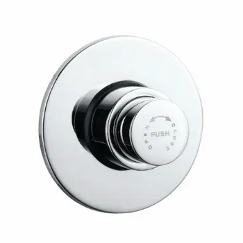 Polished Toilet Fittings