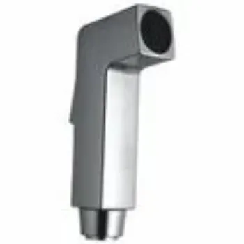 Polished Toilet Fittings