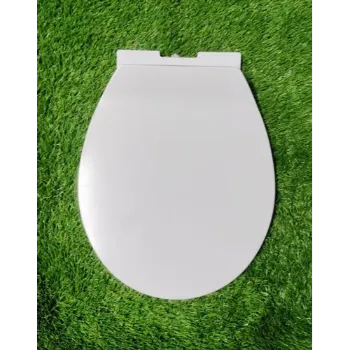 Polished Toilet Seat Cover