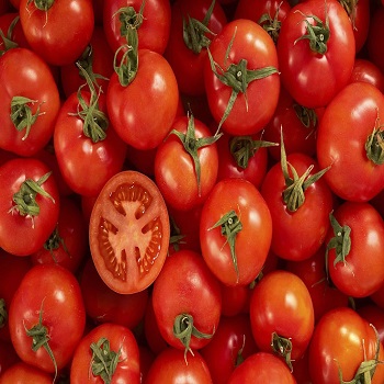  Tomato