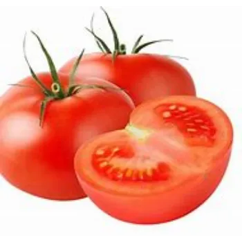 Tomato