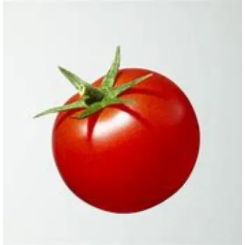 Tomato