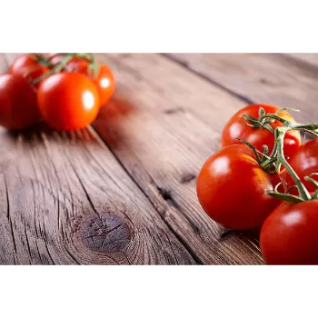 Common  Tomato