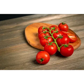 Fresh  Tomato