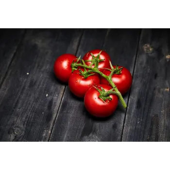 Fresh Tomato
