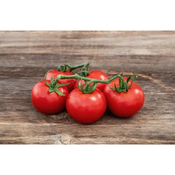 Natural Tomato