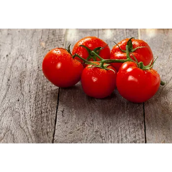 Organic Tomato