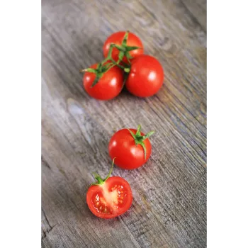  A Grade  Tomato