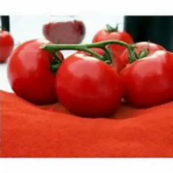 Organic Tomato Powder