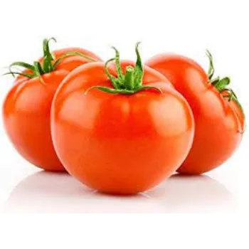 Natural Fresh Tomato