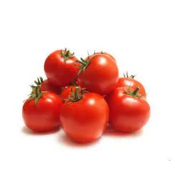 Natural Fresh Tomato
