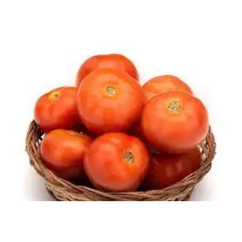 Natural Fresh Tomato