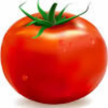 Organic Fresh Tomato