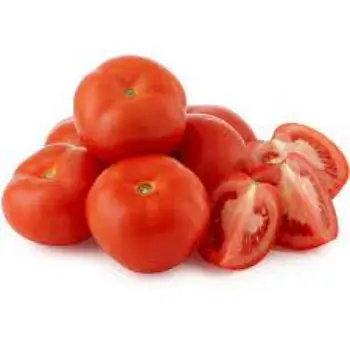 Common Fresh Tomato