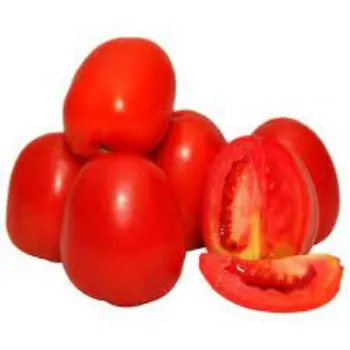 Organic Fresh Tomato