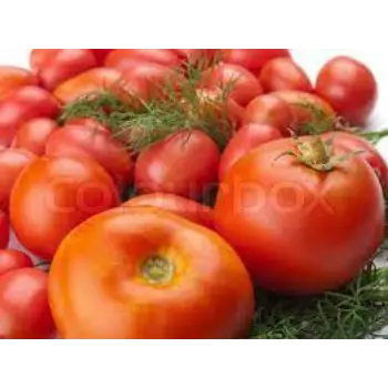 Common Fresh Tomato