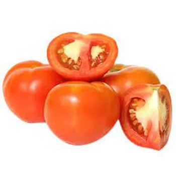 Common Fresh Tomato