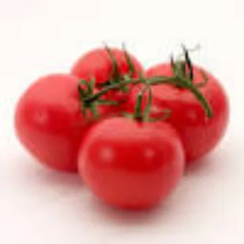 Organic Fresh Tomato